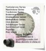 Raw Oral Steroids Testosterone Undecanoate